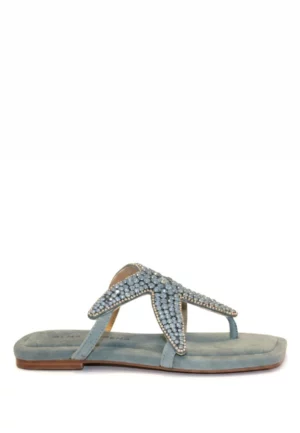 KLAPKI Z APLIKACJĄ ROZGWIAZDY BŁĘKITNE